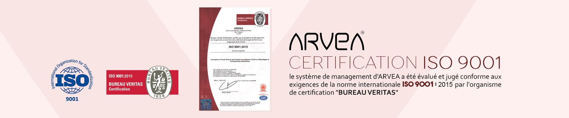 arvea egypt